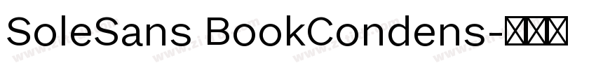 SoleSans BookCondens字体转换